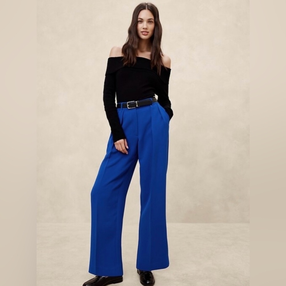 Banana Republic Pleated Wide Leg Pants